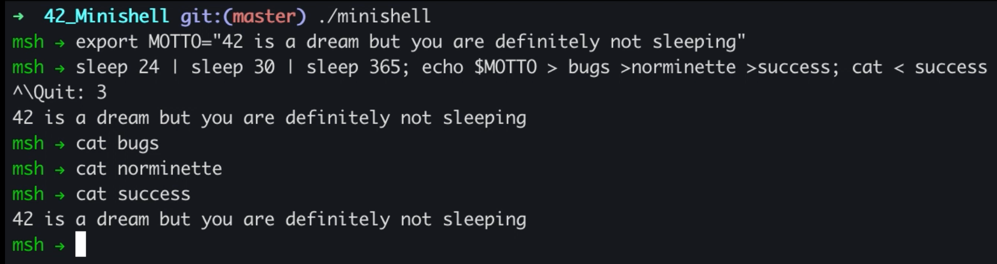 Minishell running user commands